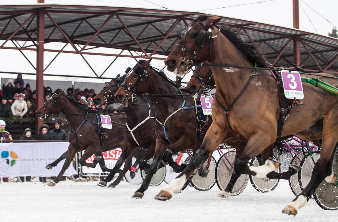 Ristūnų lenktynės "Sartai 2015"