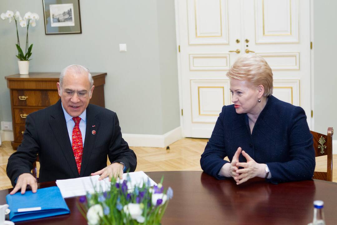 Angelas Gurria ir Dalia Grybauskaitė