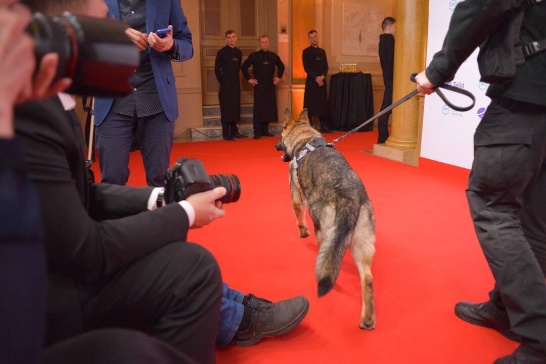 Festivalio „Kino pavasaris“ uždarymas