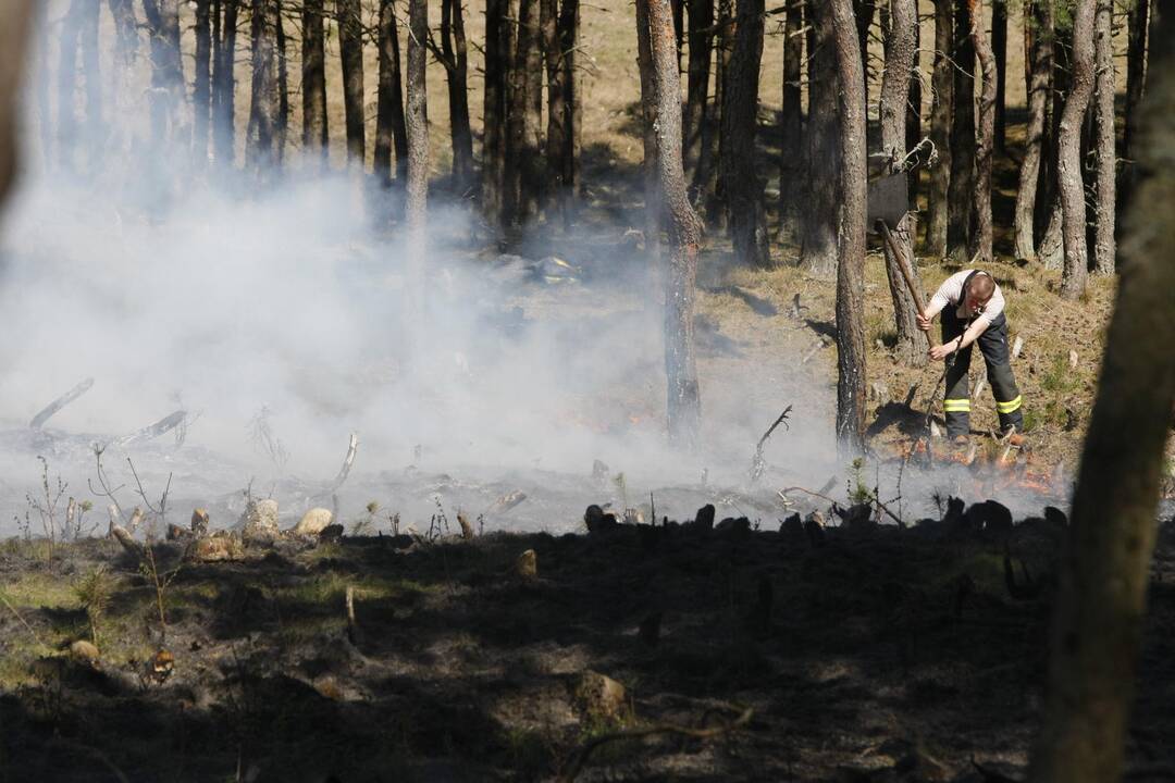 Ugnis negailestingai niokoja Kuršių neriją (unikalios foto)