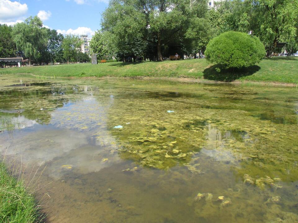 Dumblėtas Kalniečių parko tvenkinys