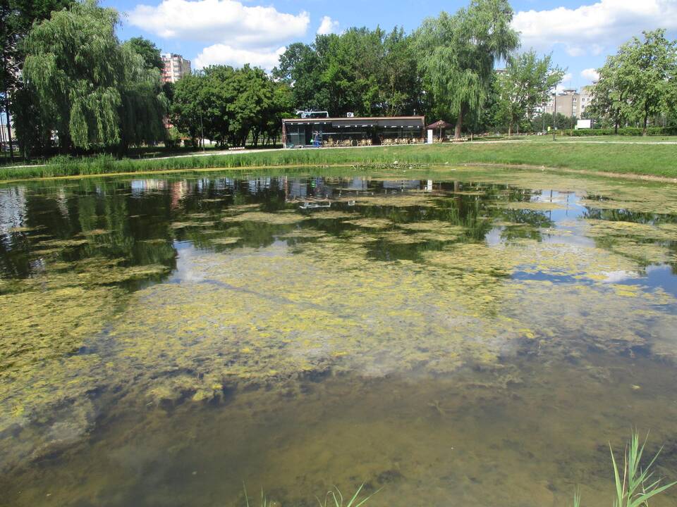 Dumblėtas Kalniečių parko tvenkinys