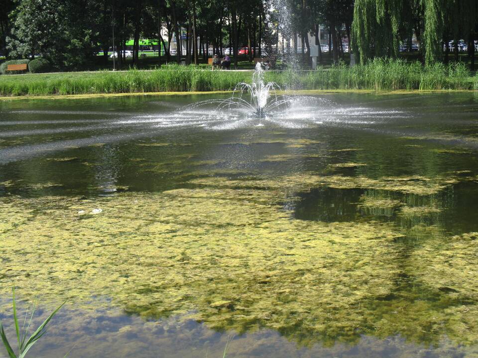 Dumblėtas Kalniečių parko tvenkinys