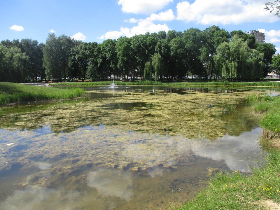 Dumblėtas Kalniečių parko tvenkinys