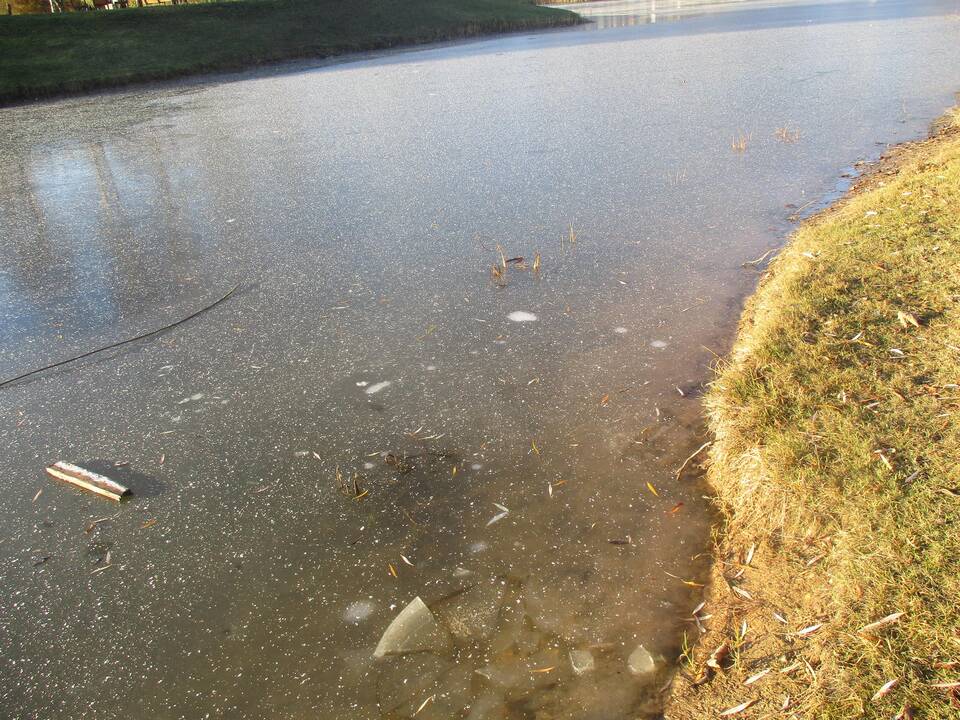 Kalniečių parko tvenkinį padengė ledas