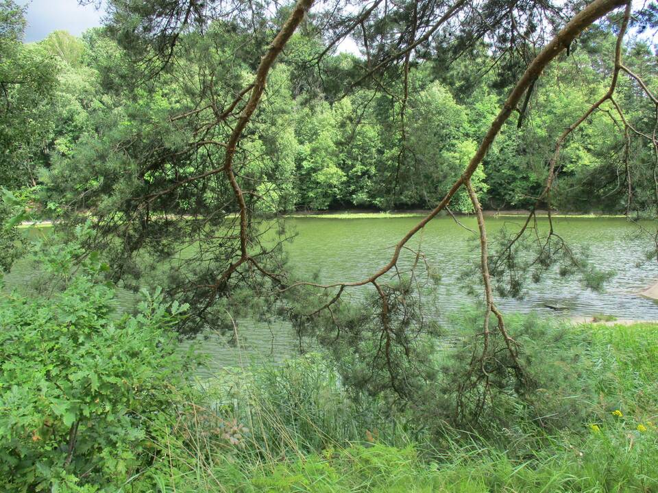Orai savaitgalį nenustebins