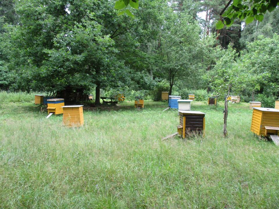 Kokių orų sulauksime artimiausią rugpjūčio dešimtadienį