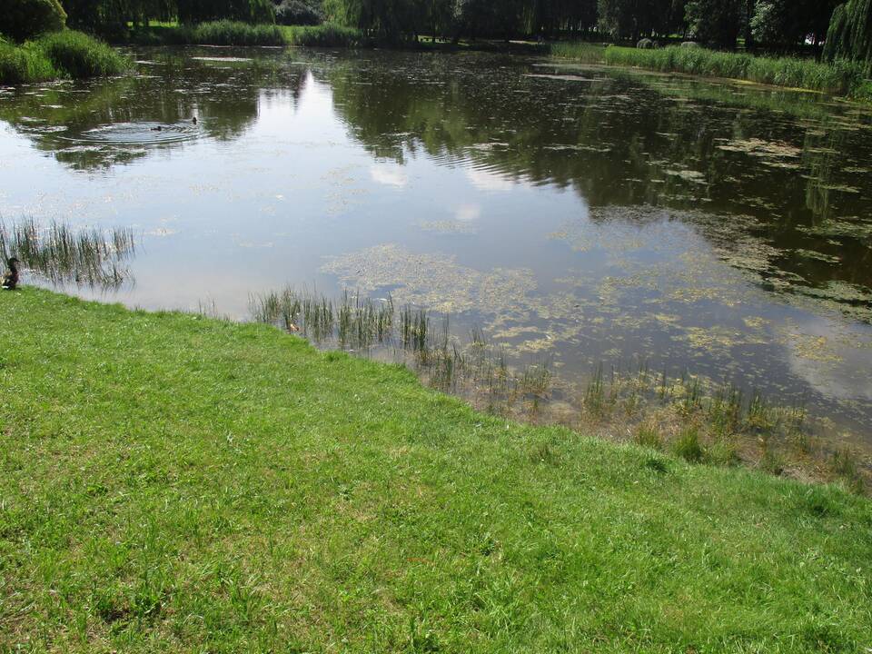 Šakių rajone tvenkinyje nuskendo moteris