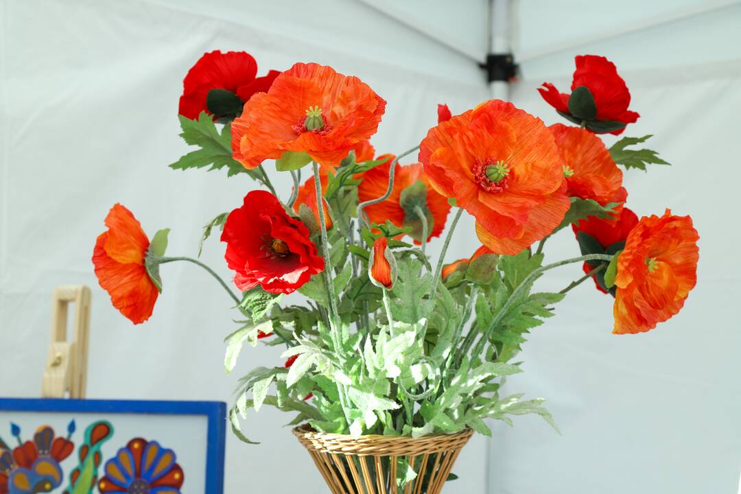 Tarptautinis festivalis „Tautinių kultūrų diena“