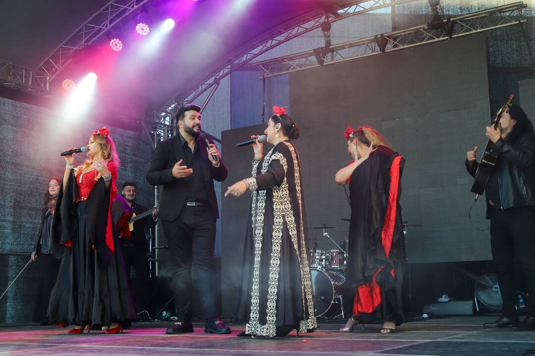 Tarptautinis festivalis „Tautinių kultūrų diena“