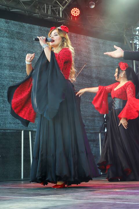 Tarptautinis festivalis „Tautinių kultūrų diena“