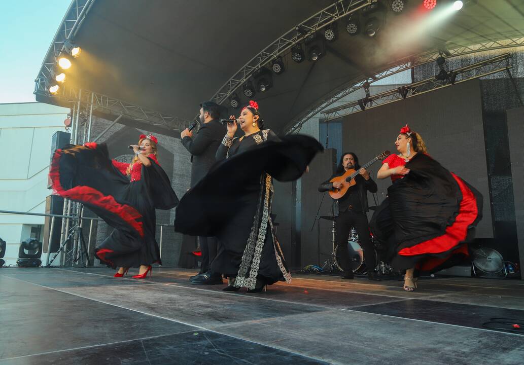 Tarptautinis festivalis „Tautinių kultūrų diena“
