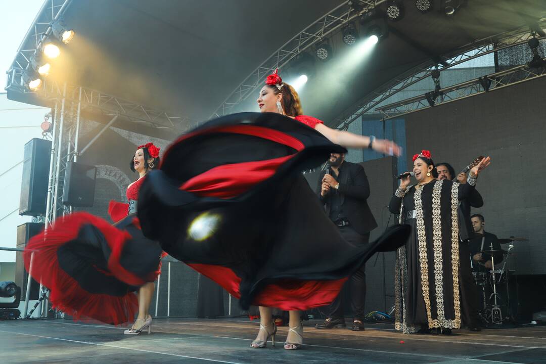 Tarptautinis festivalis „Tautinių kultūrų diena“