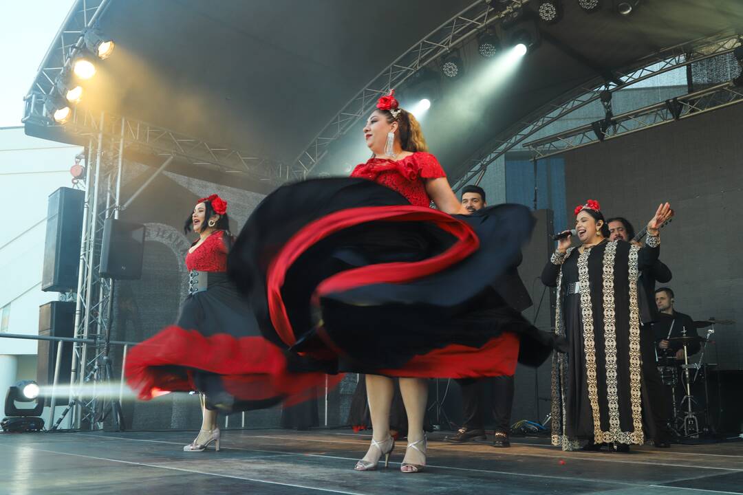 Tarptautinis festivalis „Tautinių kultūrų diena“