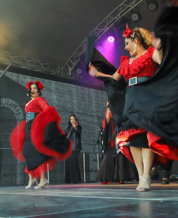 Tarptautinis festivalis „Tautinių kultūrų diena“