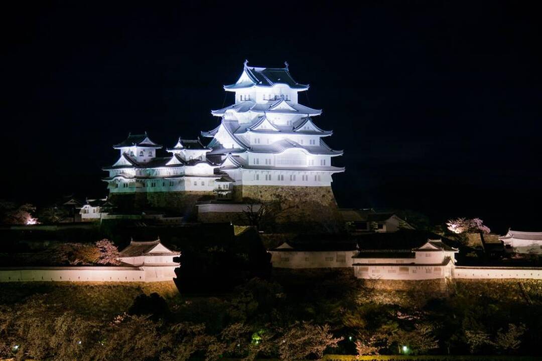 V. Radzevičius ir M. Starkus Japonijoje