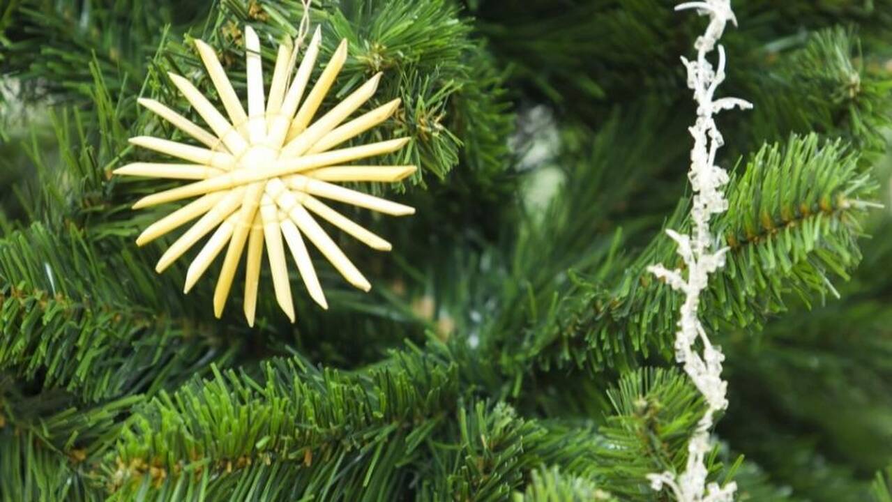 Kaip pasirūpinti kalėdine eglute, kad ji būtų graži iki pat švenčių pabaigos