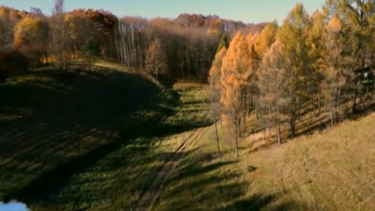 Ribiškių pažintinio tako reljefo analogo Lietuvoje nėra