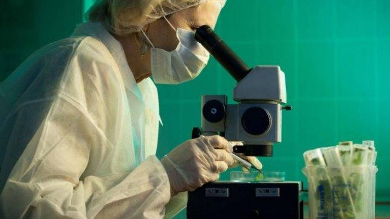 Keturiems užsienio lietuviams įteiktos Mokslo premijos