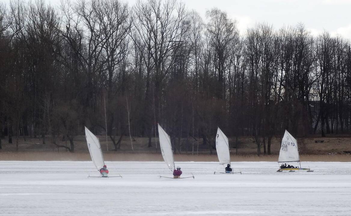 Ledo jachtų taurės varžybos