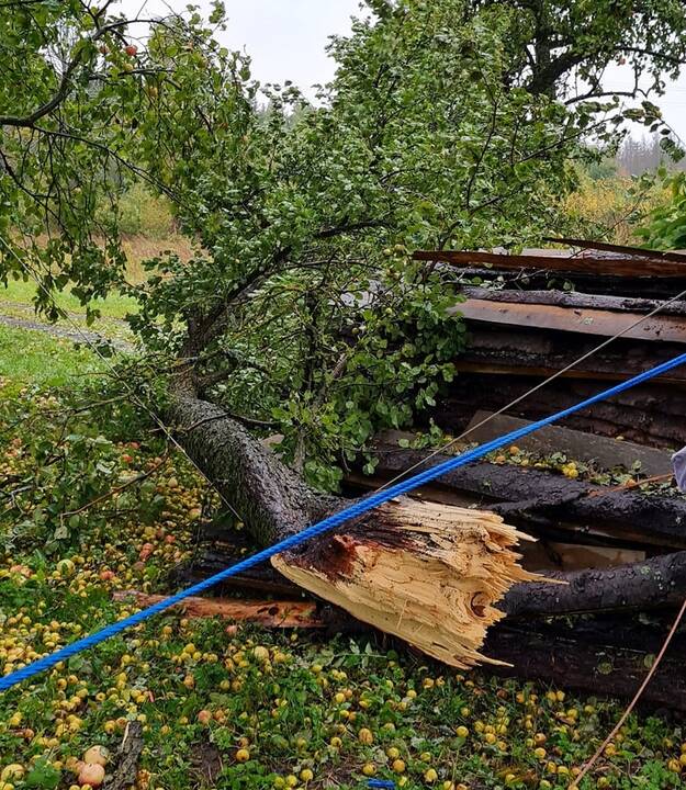 Ugniagesiai gelbėtojai apie 20 kartų vyko padėti dėl vėjo nulaužtų medžių