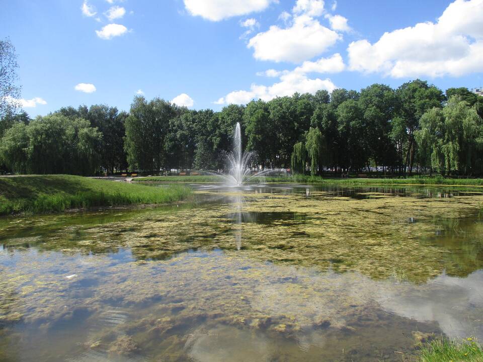 Dumblėtas Kalniečių parko tvenkinys