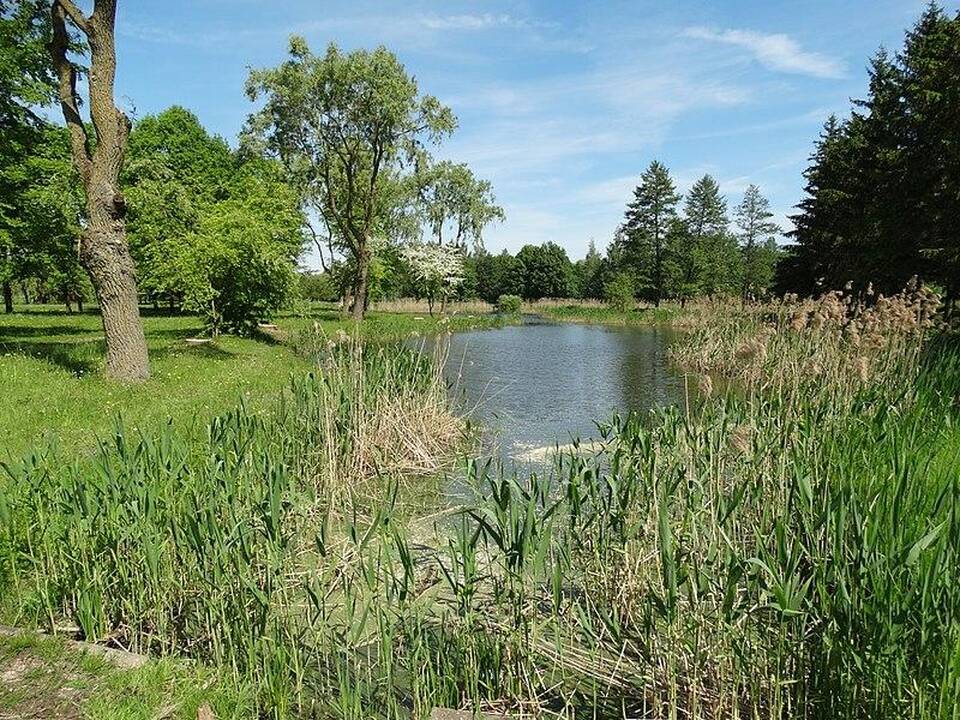 Marijampolėje atnaujinamas Pašešupio parkas