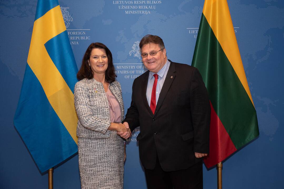 Linas Linkevičius ir Ann Linde