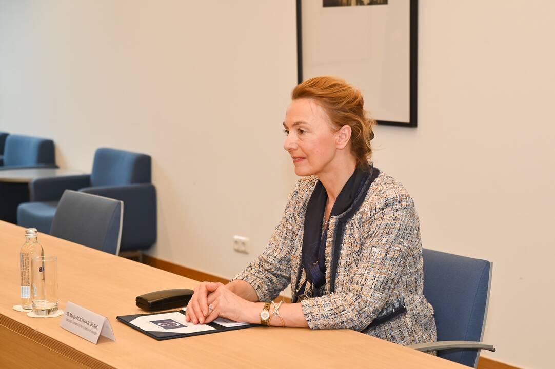 Marija Pejčinović Burić ir Gabrielus Landsbergis