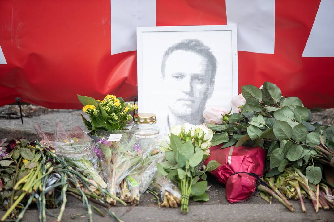 Vilniuje – protestas prieš V. Putiną