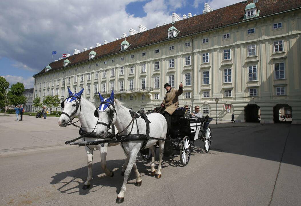 Vienoje karietas traukiantys arkliai galės ilsėtis per karščius