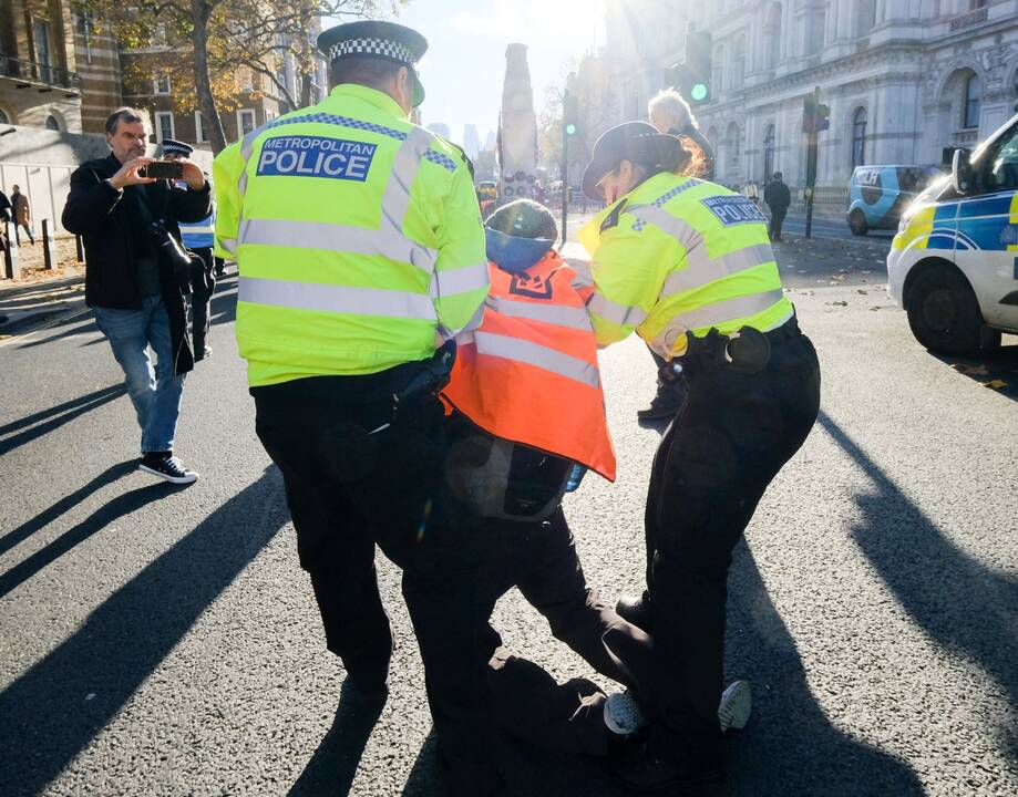 JK policija sulaikė du klimato aktyvistus po protesto Holivudo aktorės spektaklyje Londone