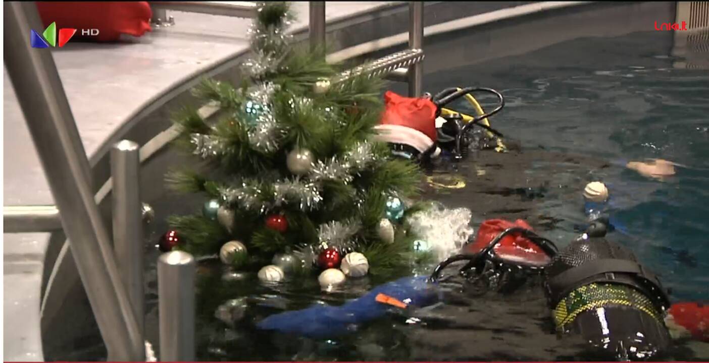 Klaipėdoje po vandeniu panardinta Kalėdų eglė