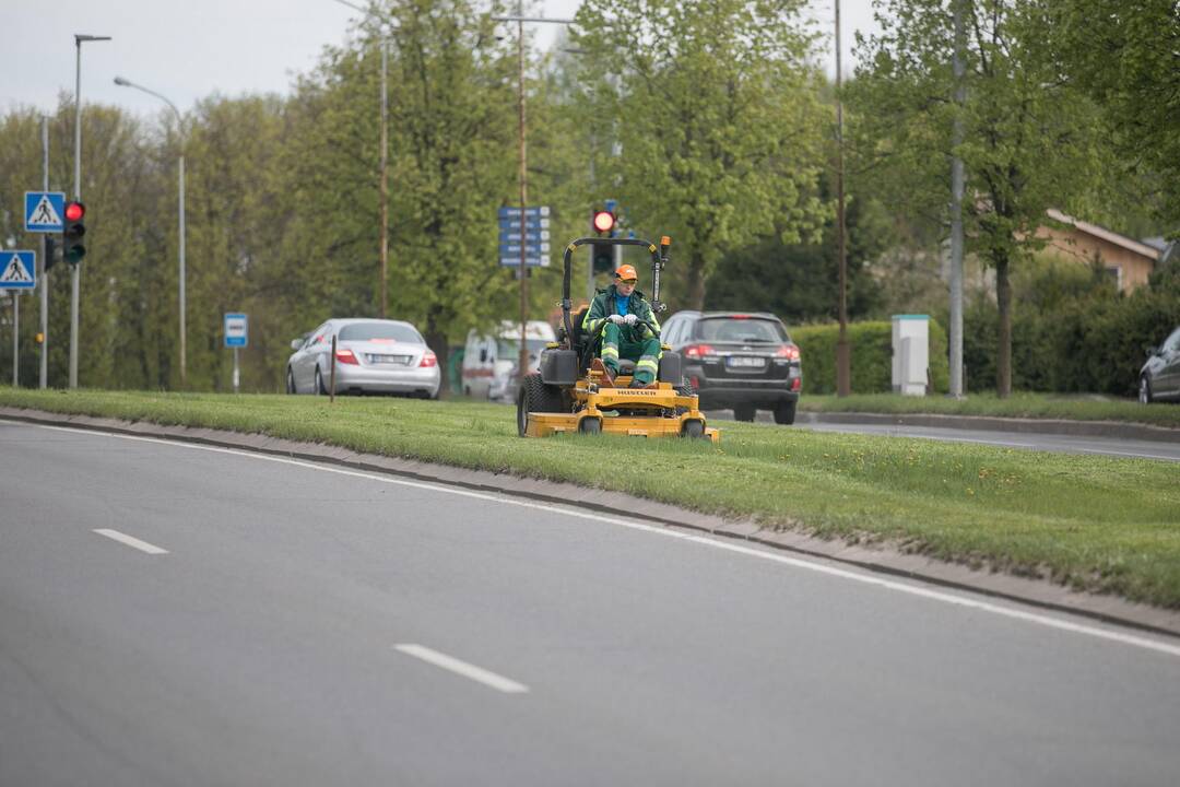 Vilniuje prasidėjo žolės šienavimas