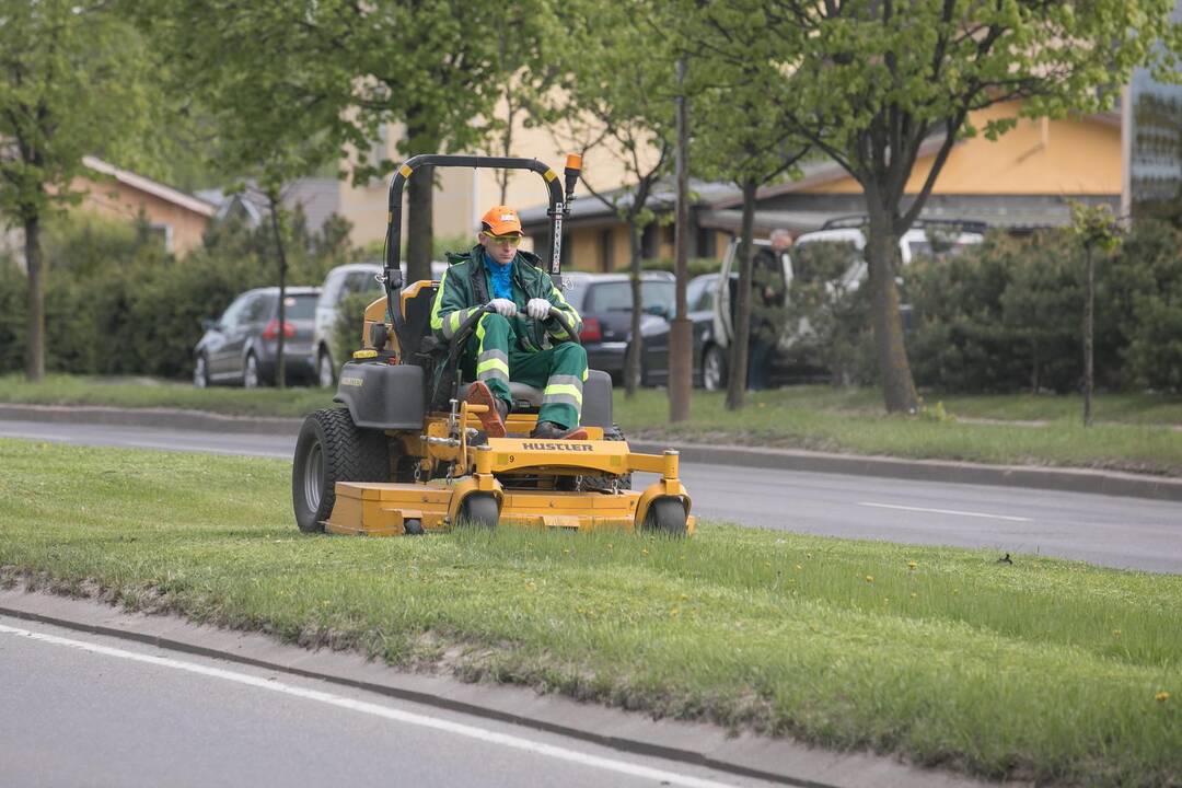 Vilniuje prasidėjo žolės šienavimas