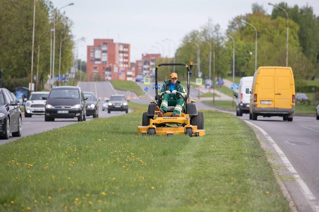 Vilniuje prasidėjo žolės šienavimas