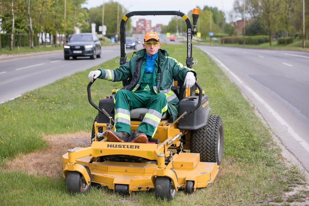 Vilniuje prasidėjo žolės šienavimas