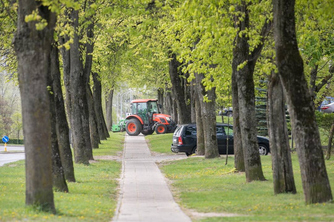 Vilniuje prasidėjo žolės šienavimas