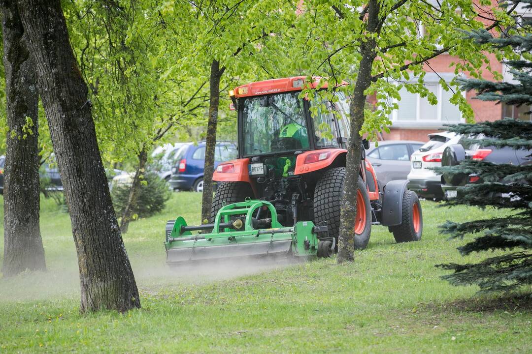 Vilniuje prasidėjo žolės šienavimas