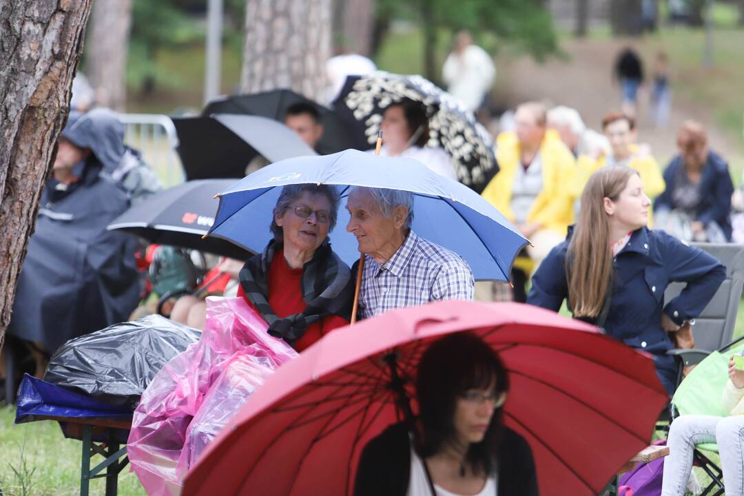 Festivalis "Akacijų alėja"