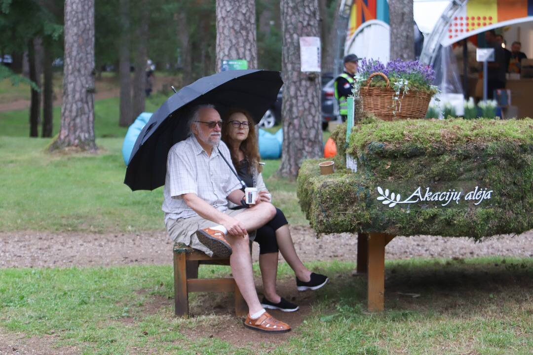 Festivalis "Akacijų alėja"