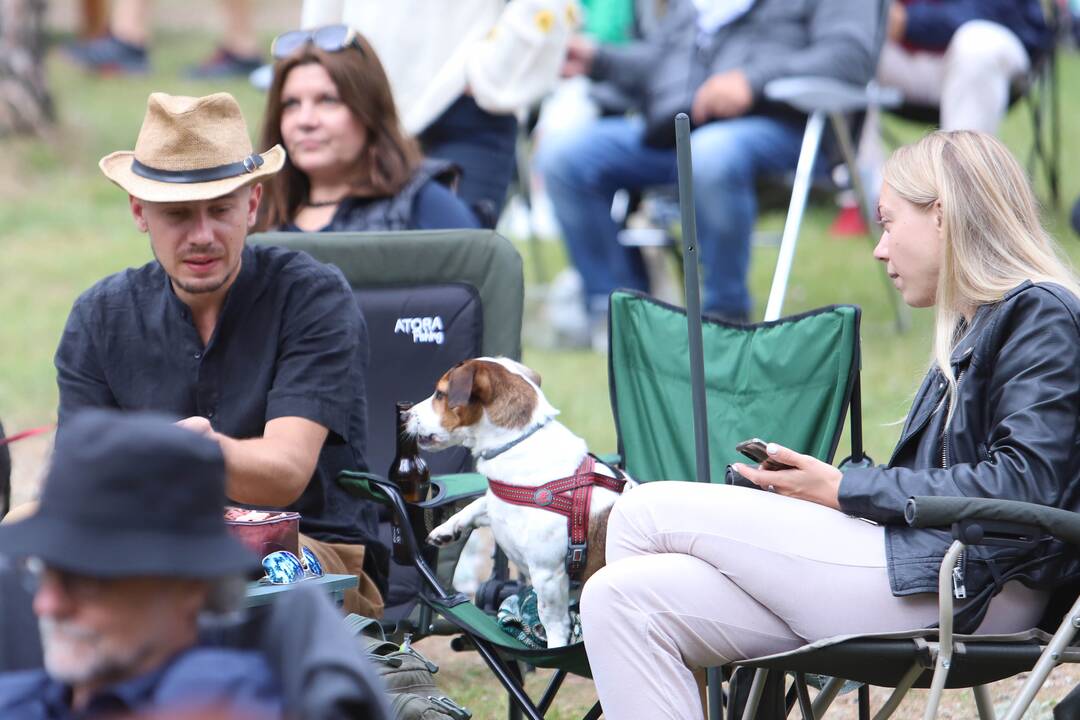Festivalis "Akacijų alėja"