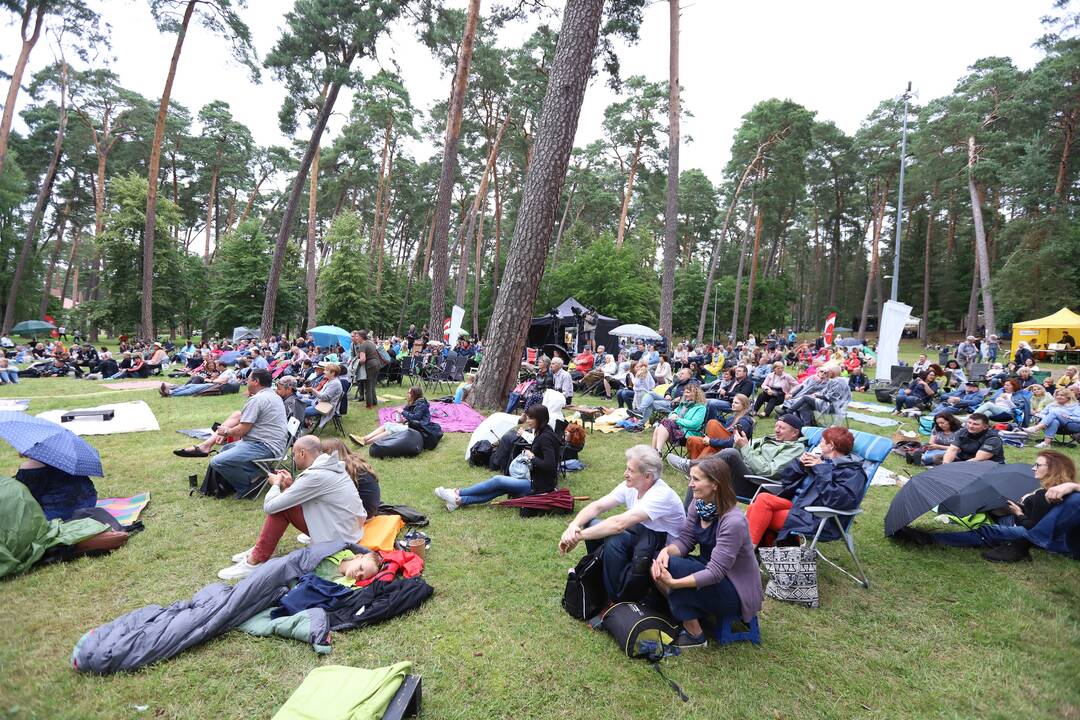 Festivalis "Akacijų alėja"