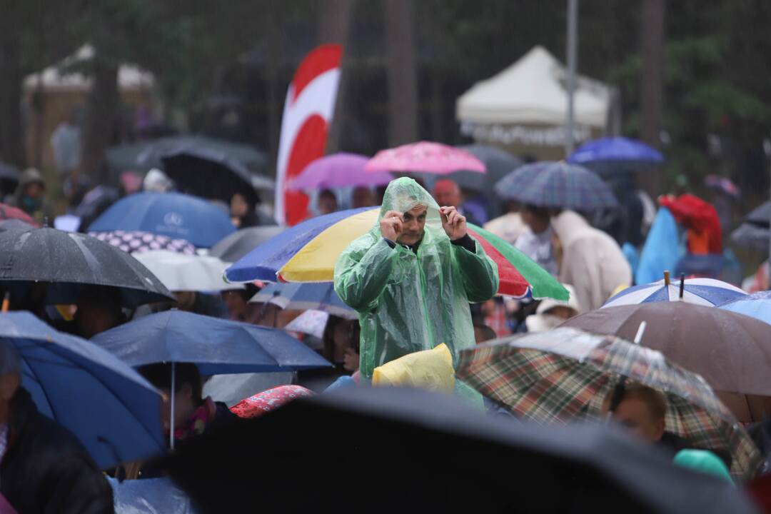 Festivalis "Akacijų alėja"