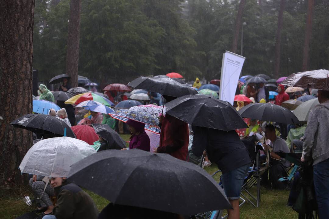 Festivalis "Akacijų alėja"