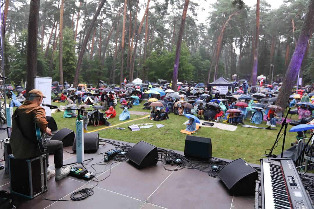 Festivalis "Akacijų alėja"