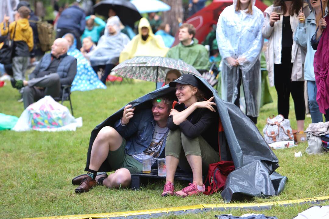 Festivalis "Akacijų alėja"