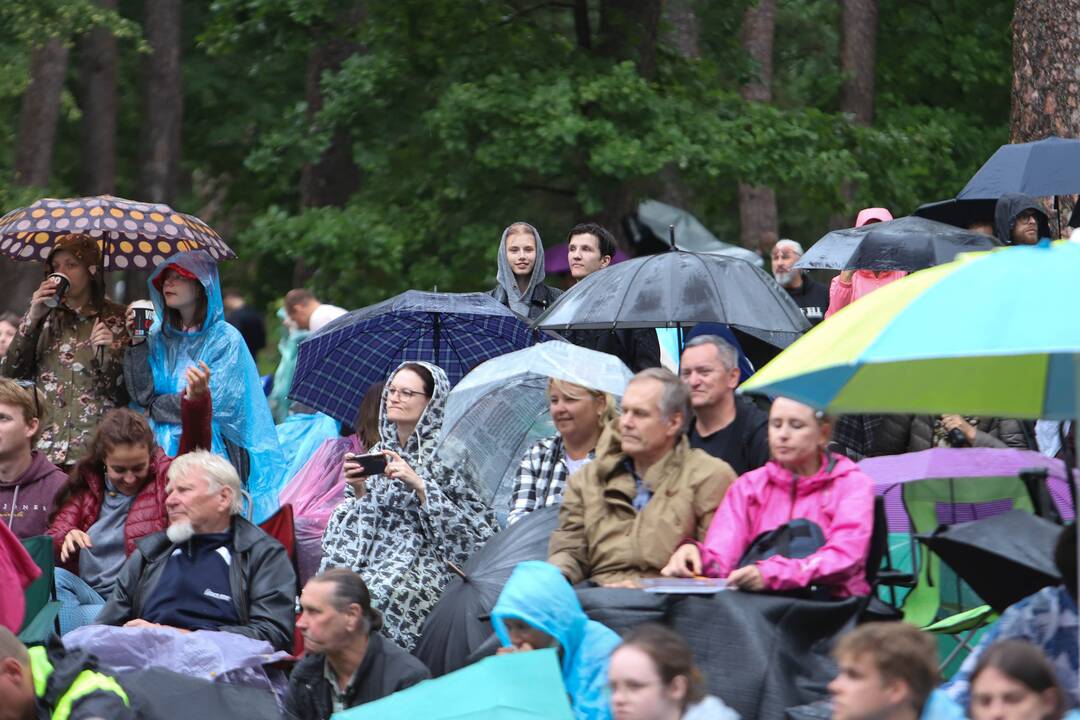 Festivalis "Akacijų alėja"