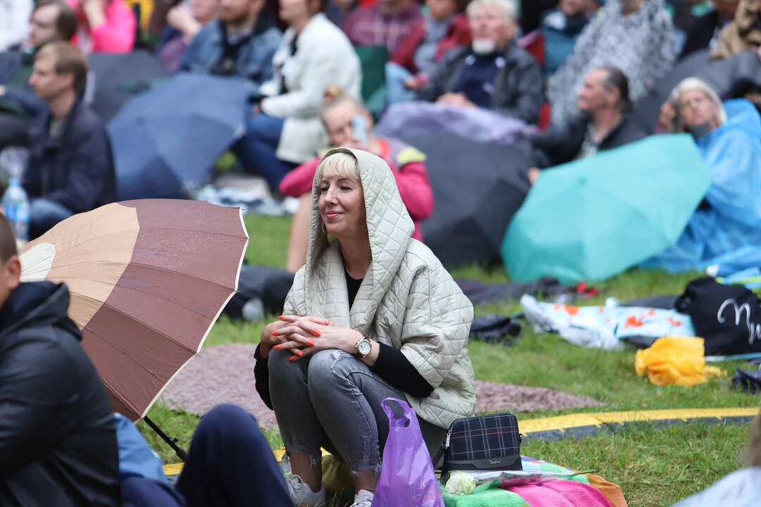 Festivalis "Akacijų alėja"