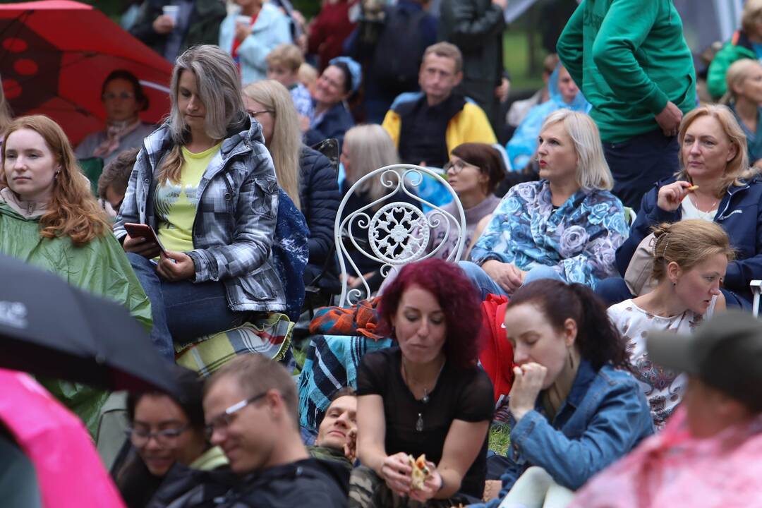 Festivalis "Akacijų alėja"